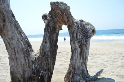 Wooden posts on beach against clear sky