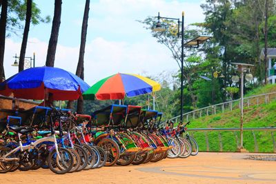 Bicycles against trees and plants