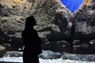 Silhouette of man in aquarium