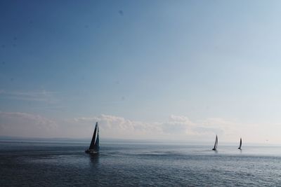 Sailboat sailing on sea against sky