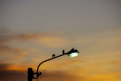 Silhouette street light against orange sky