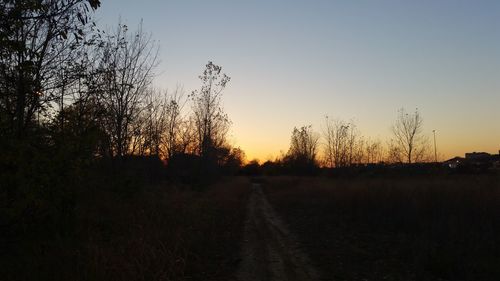 Bare trees on field at sunset