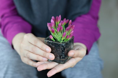 Close-up of hand holding purple flower