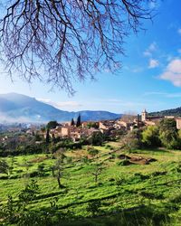 Scenic view of trees and buildings against sky