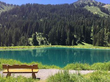 Scenic view of lake against trees