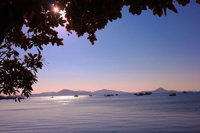 Scenic view of sea against clear sky during sunset