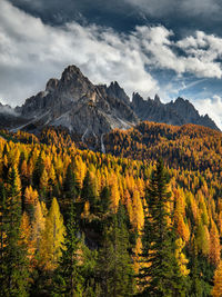 Scenic view of mountains against sky during autumn