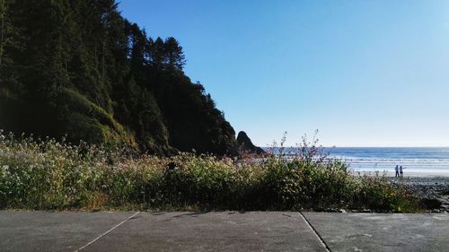 Scenic view of sea against clear blue sky