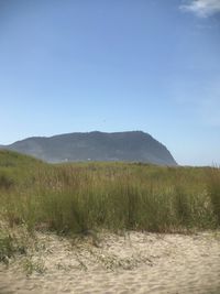 Scenic view of field against clear sky