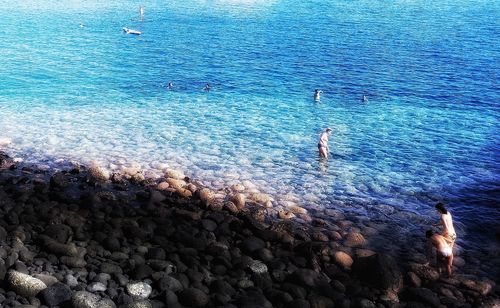 High angle view of man swimming in sea