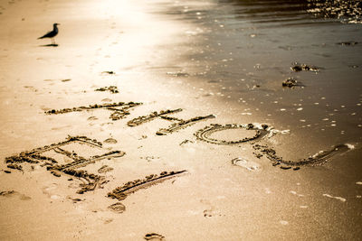 High angle view of text on sand at beach