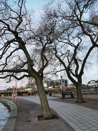 Bare trees by street in city against sky