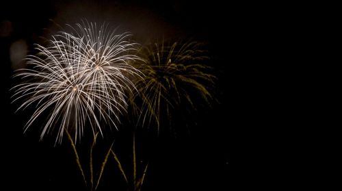 Low angle view of firework display at night