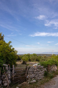 Plants growing on land against sky