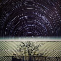 Low angle view of tree against sky at night