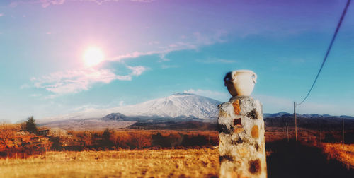 View of bird on mountain against sky
