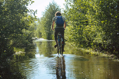 Rear view of man riding bicycle on water amidst plants