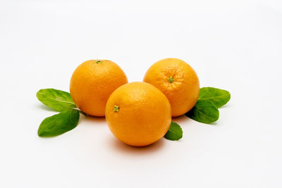 Close-up of oranges against white background