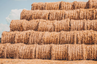 Close-up of hay bales on field