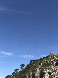 Low angle view of birds flying against blue sky