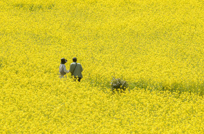 People standing amidst yellow flowers on field during sunny day