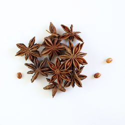 High angle view of dead plant against white background