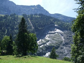 Scenic view of forest and mountains against sky