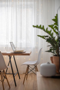 Potted plant on table at home