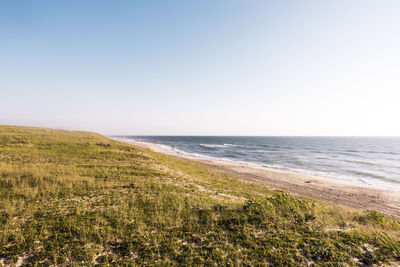 Scenic view of beach against clear sky