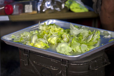 Close-up of lettuce in tray on container at yard