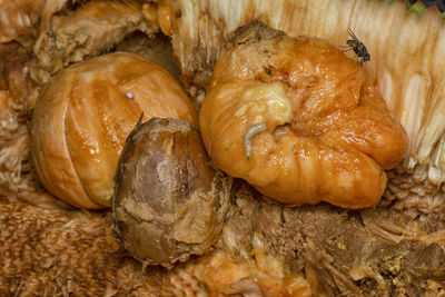 Close-up of food