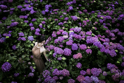 High angle view of woman standing by flowering plants