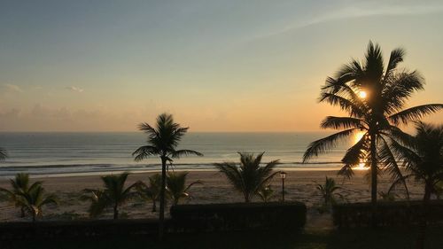 Silhouette palm trees by swimming pool against sky during sunset