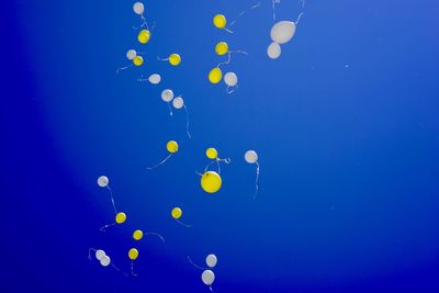 Low angle view of balloons against blue sky