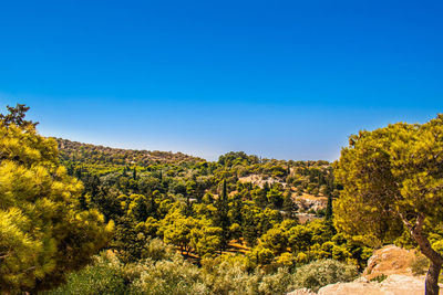 Scenic view of trees against clear blue sky