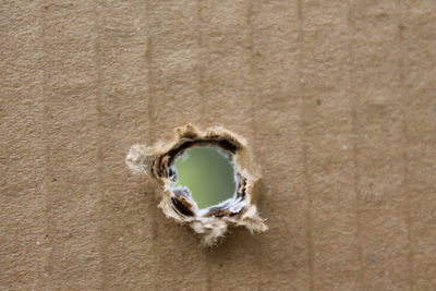 Close-up of target board with bullet hole