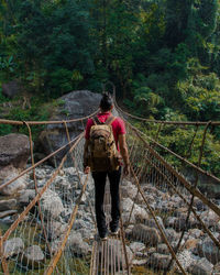 Rear view of man walking in forest