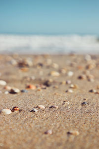 Surface level of sand on beach against sky