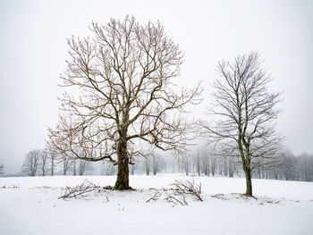 Bare trees on snow covered field against sky