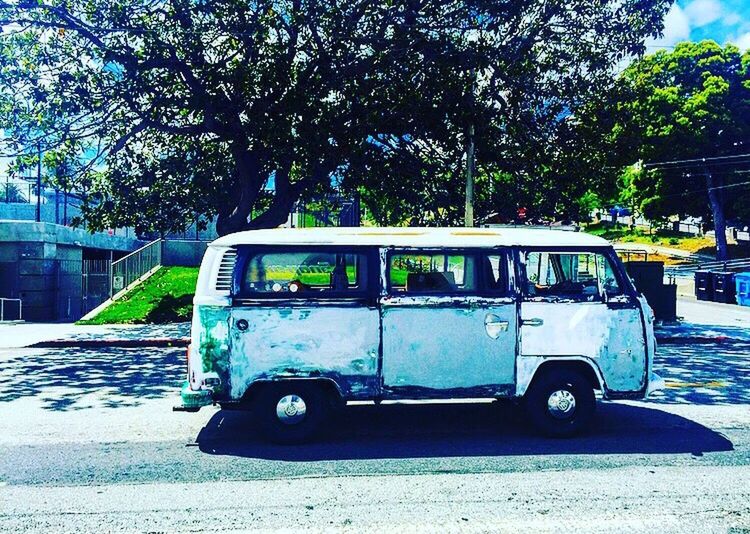 tree, land vehicle, transportation, mode of transport, car, sunlight, street, day, stationary, building exterior, growth, built structure, outdoors, parked, parking, architecture, road, no people, shadow, blue