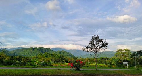 Scenic view of grassy field against cloudy sky
