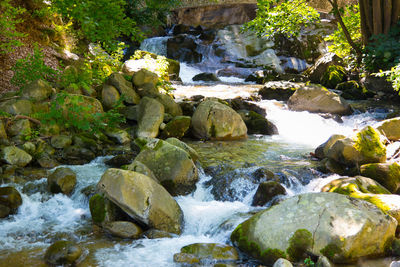 Stream flowing through rocks in forest