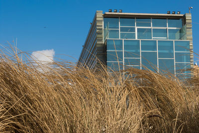 Low angle view of built structure against blue sky