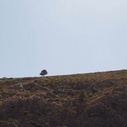 Scenic view of landscape against clear sky