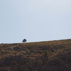 Scenic view of landscape against clear sky