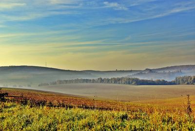 Scenic view of field against sky