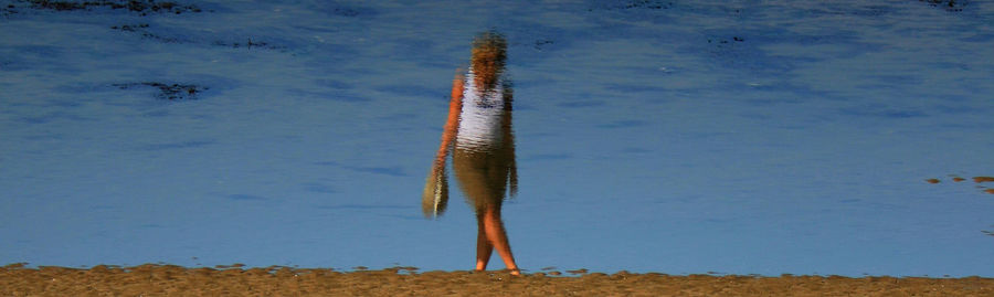 Close-up of tree against blue sky