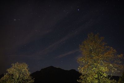 Low angle view of silhouette trees against sky at night