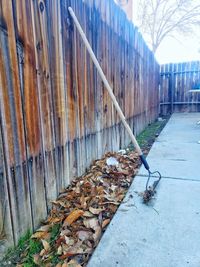 Dry leaves on footpath by wall of building