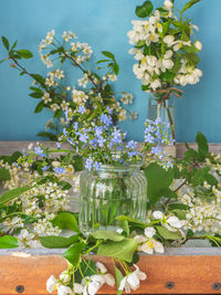 Spring flowers fruit trees apple and cherry in glass jars, bird cherry branches 